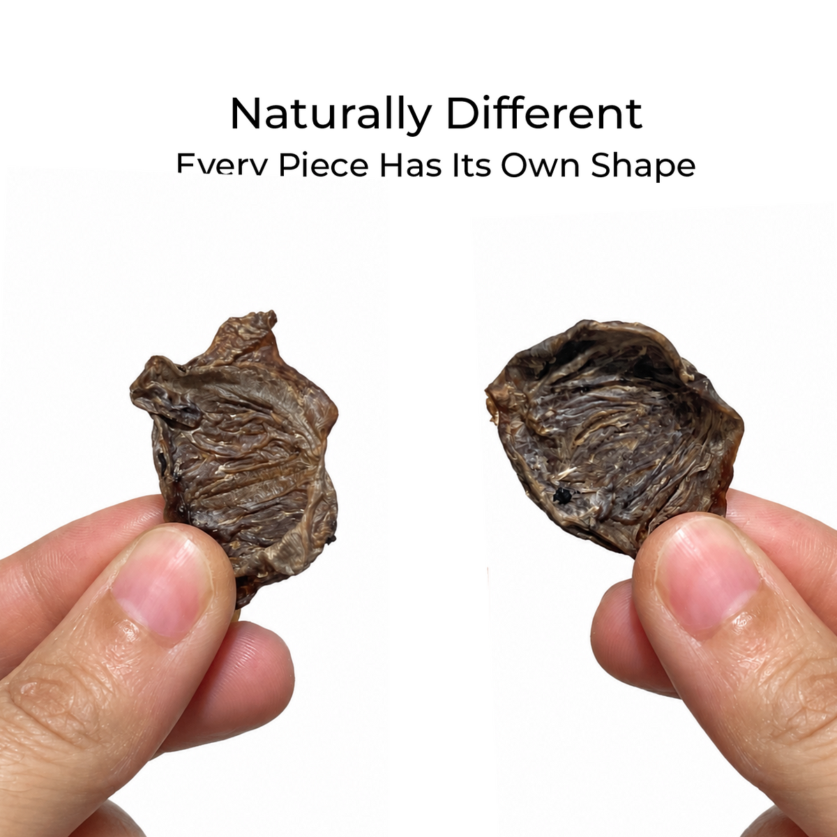 Pure Heart - 100% Chicken Heart