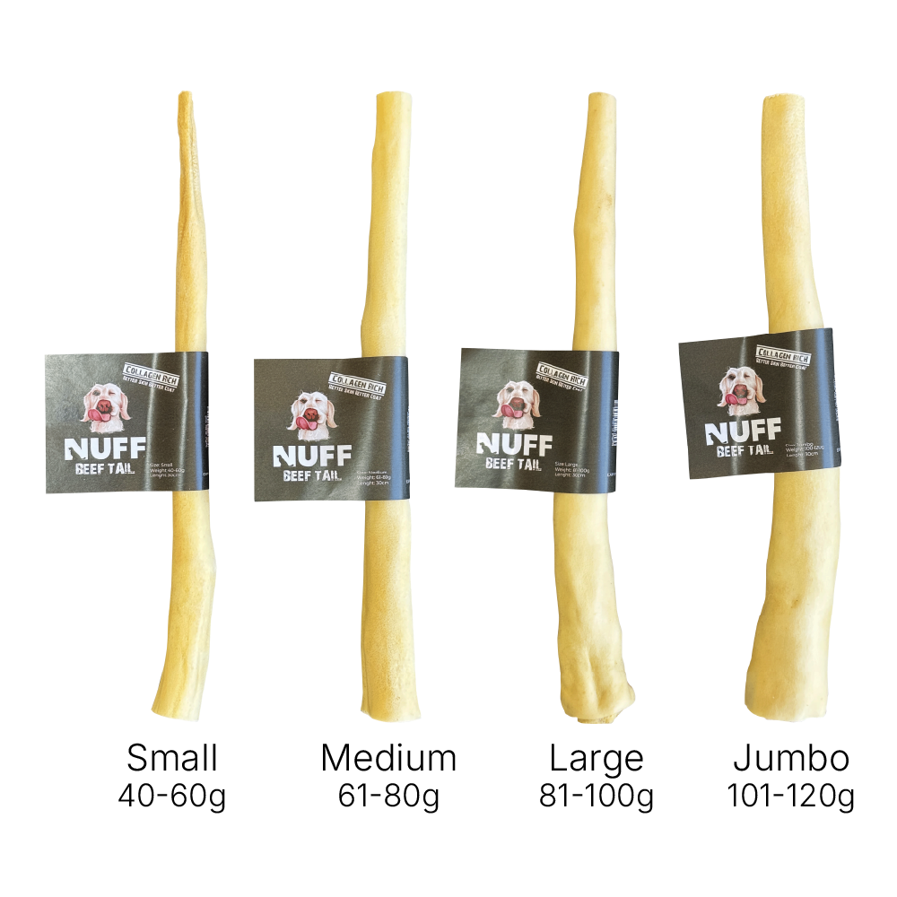Beef Tail 30cm