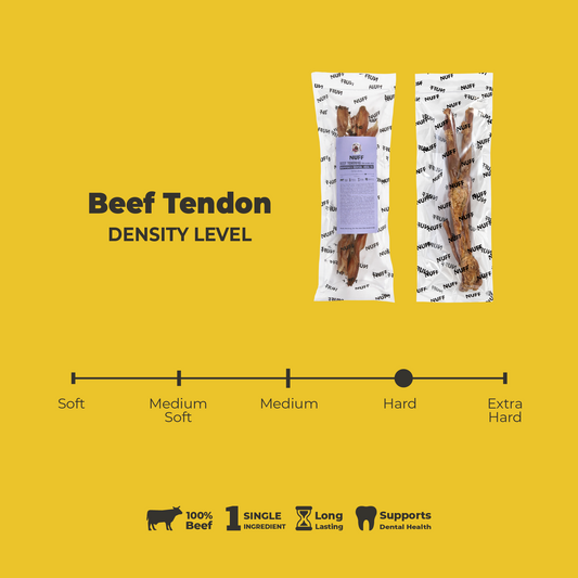 Beef Tendon