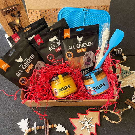 Christmas Gift For Dogs_ Yellow Box