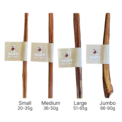 Bully Stick Dog Chew 30cm