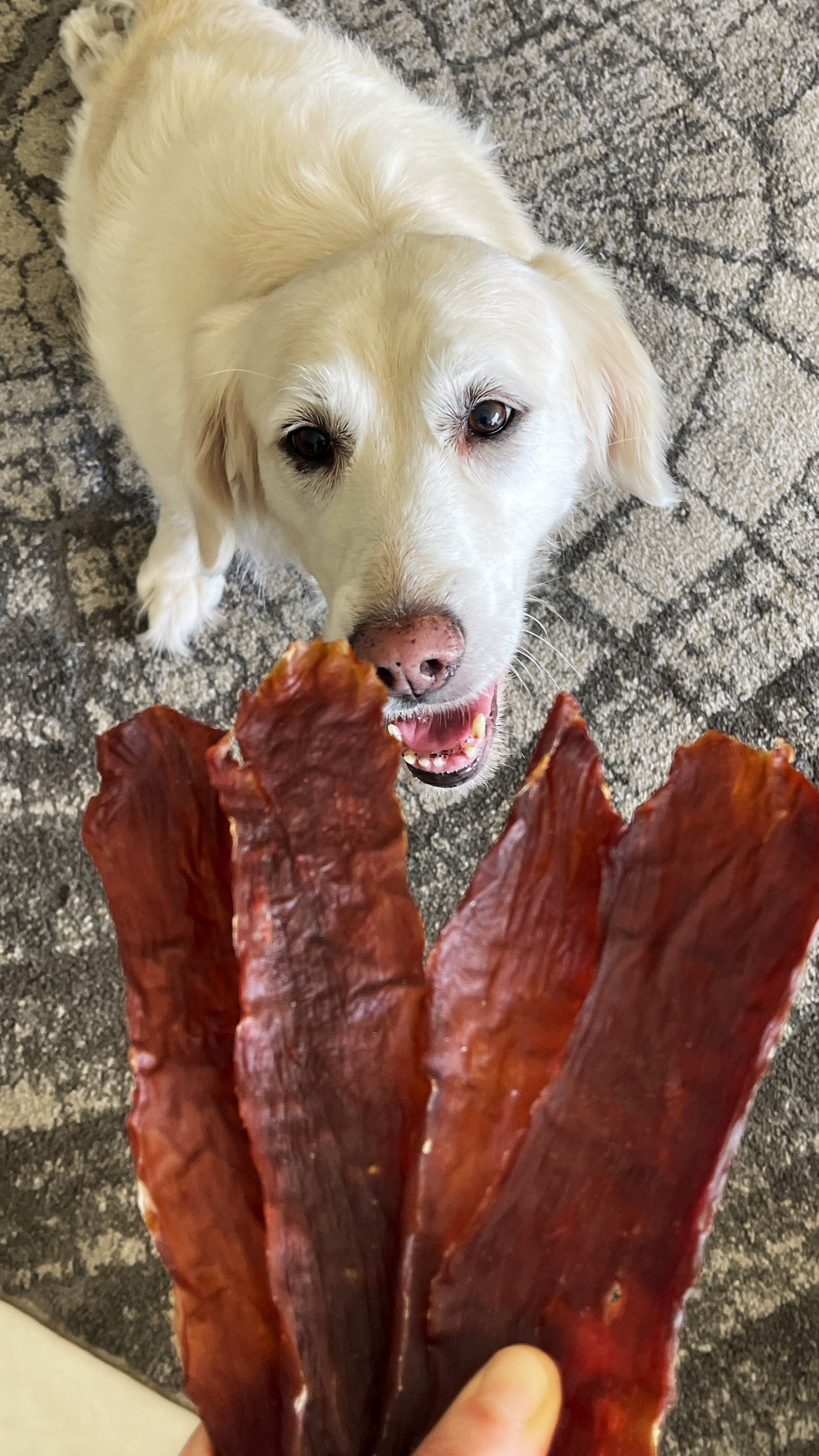 The Grinch Giant Steak