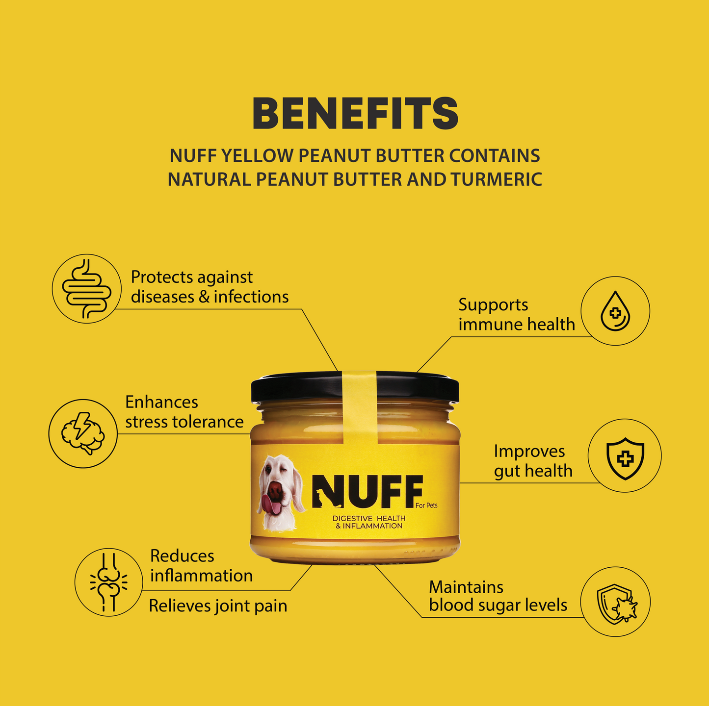 Turmeric Peanut Butter For Dogs