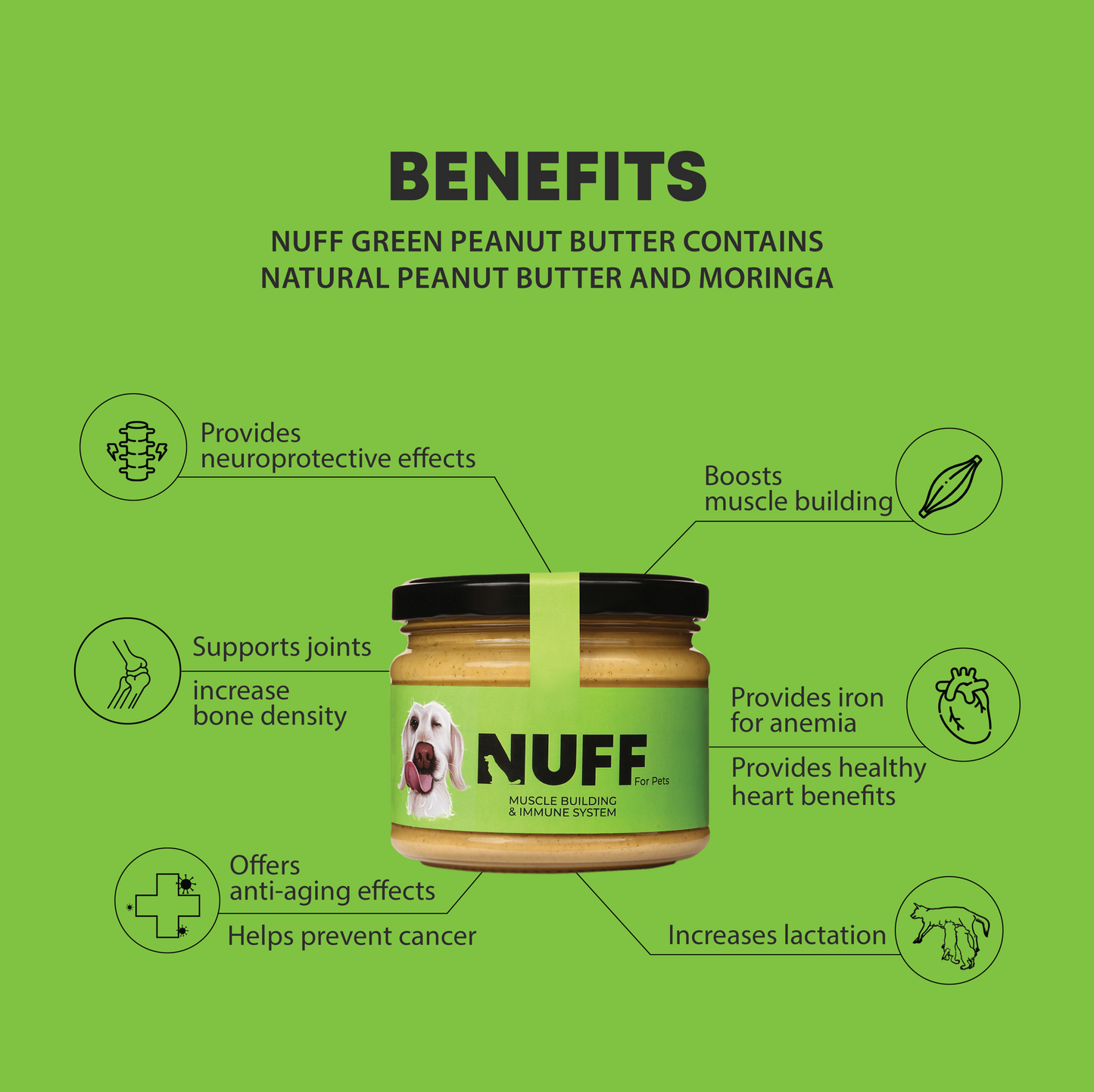 Moringa Peanut Butter For Dogs