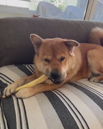Beef Tail Dog Chew 30cm – Natural, Collagen-Rich