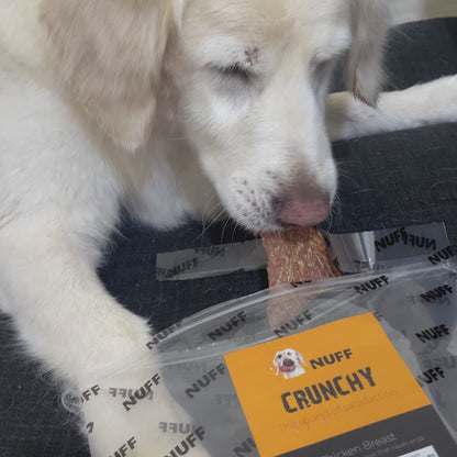 Crunchy Chicken Breast Dog Treats | Large 150g Bag