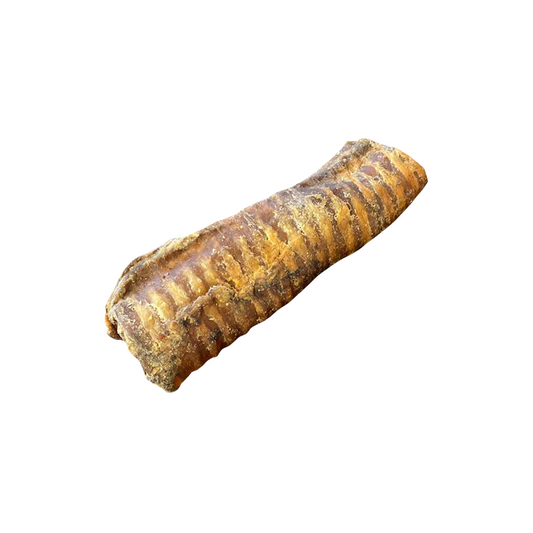 Beef Trachea